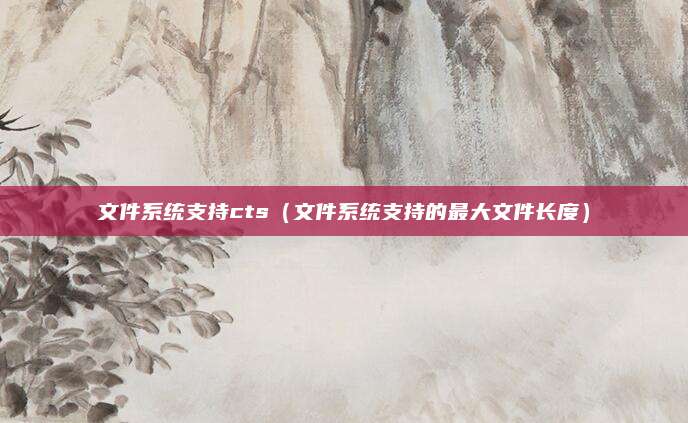 文件系统支持cts(文件系统支持的最大文件长度)