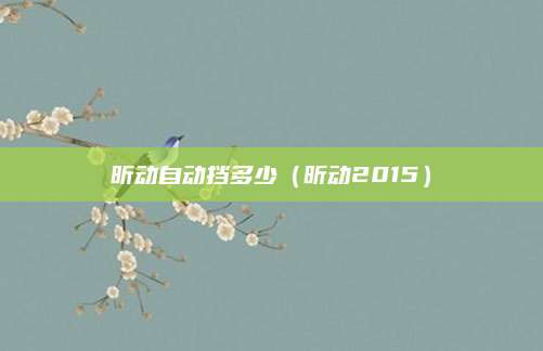 昕动自动挡多少(昕动2015)