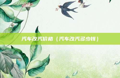 汽车改汽价格（汽车改汽多少钱）