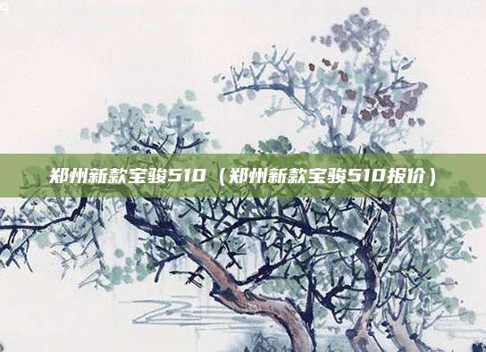 郑州新款宝骏510(郑州新款宝骏510报价)