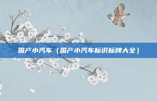 国产小汽车(国产小汽车标识标牌大全)