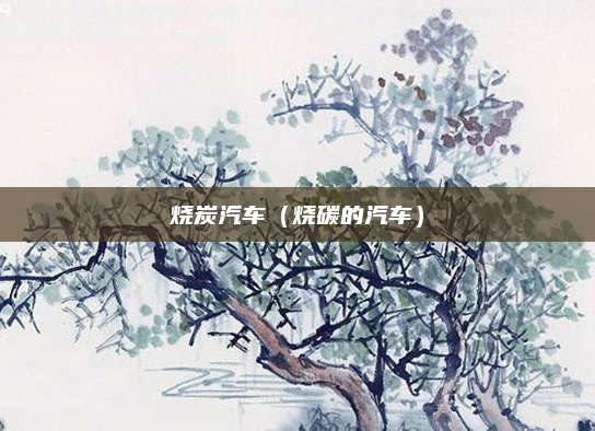 烧炭汽车(烧碳的汽车)