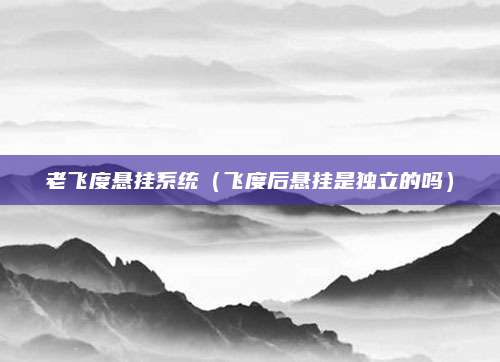 老飞度悬挂系统(飞度后悬挂是独立的吗)
