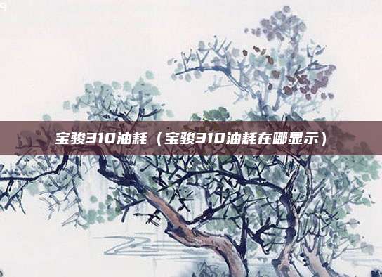 宝骏310油耗(宝骏310油耗在哪显示)