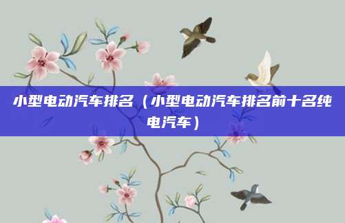 小型电动汽车排名(小型电动汽车排名前十名纯电汽车)