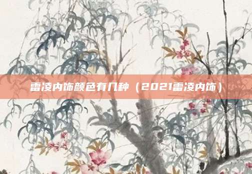 雷凌内饰颜色有几种(2021雷凌内饰)