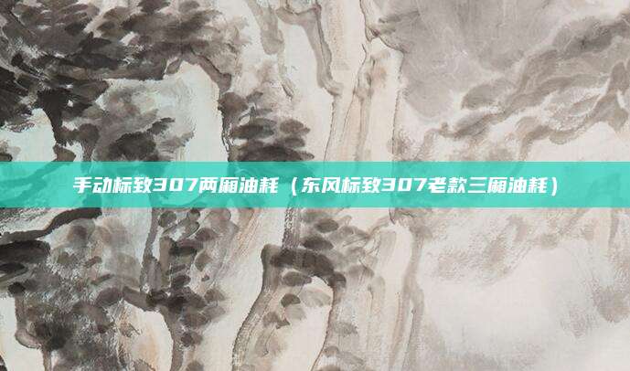 手动标致307两厢油耗(东风标致307老款三厢油耗)