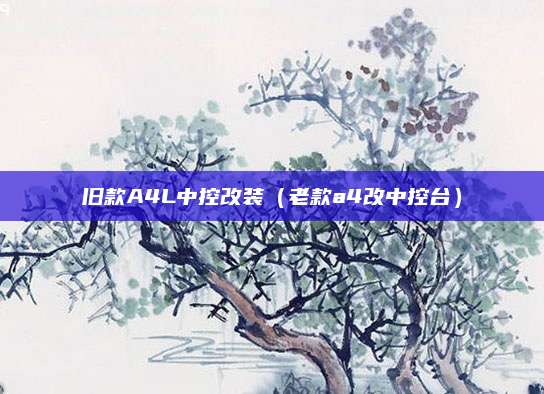 旧款A4L中控改装(老款a4改中控台)