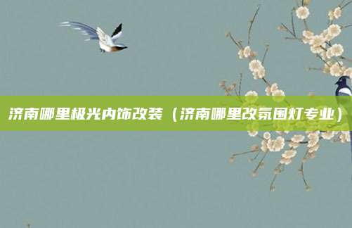 济南哪里极光内饰改装(济南哪里改氛围灯专业)