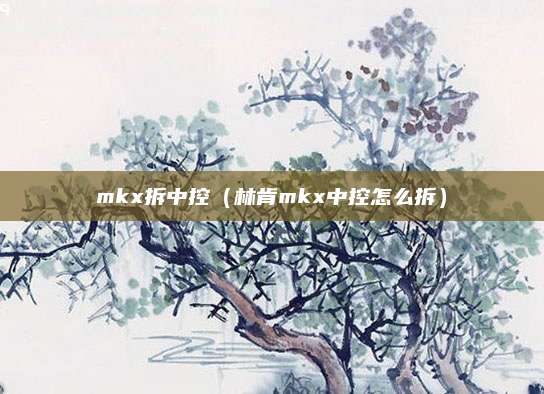 mkx拆中控(林肯mkx中控怎么拆)