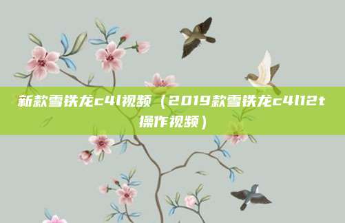 新款雪铁龙c4l视频(2019款雪铁龙c4l12t操作视频)