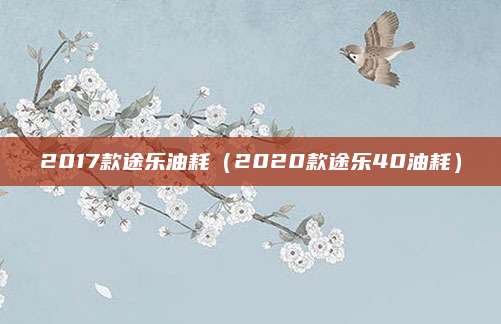 2017款途乐油耗(2020款途乐40油耗)