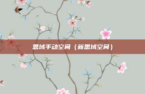 思域手动空间(新思域空间)