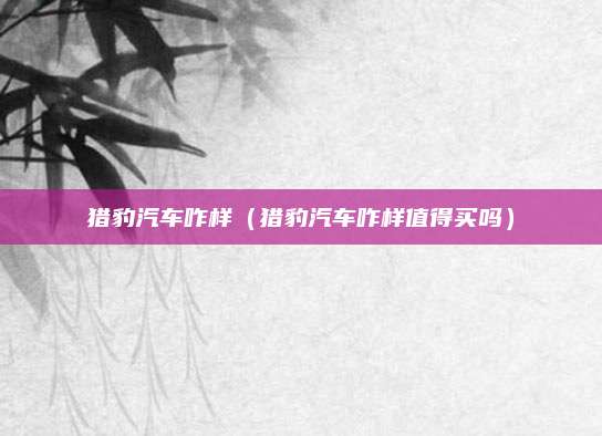 猎豹汽车咋样(猎豹汽车咋样值得买吗)