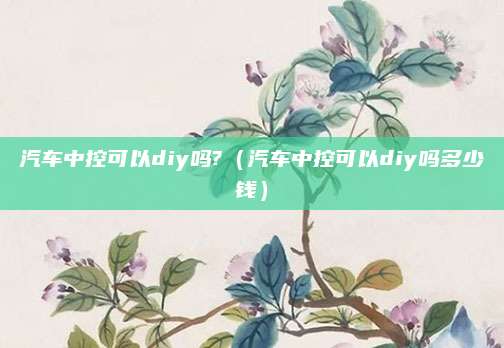 汽车中控可以diy吗?(汽车中控可以diy吗多少钱)