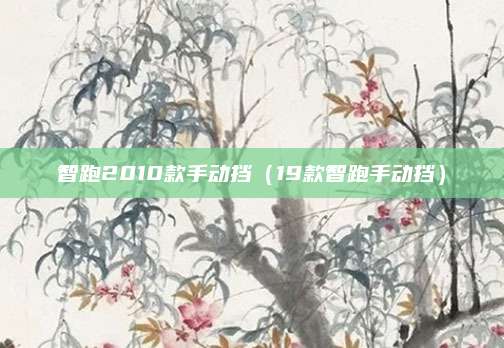 智跑2010款手动挡(19款智跑手动挡)