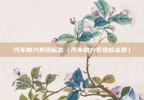 汽车助力系统标志(汽车助力系统标志图)