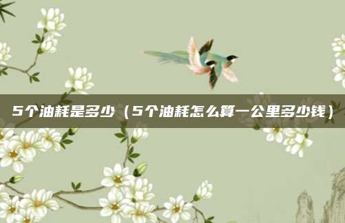 5个油耗是多少(5个油耗怎么算一公里多少钱)