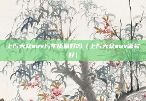 上汽大众suv汽车质量好吗(上汽大众suv哪款好)