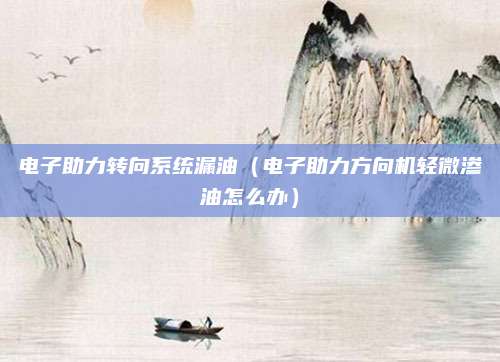 电子助力转向系统漏油(电子助力方向机轻微渗油怎么办)