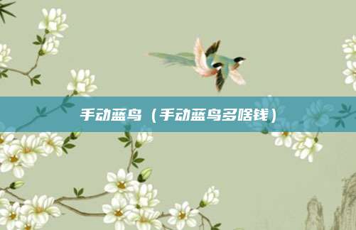 手动蓝鸟(手动蓝鸟多啥钱)
