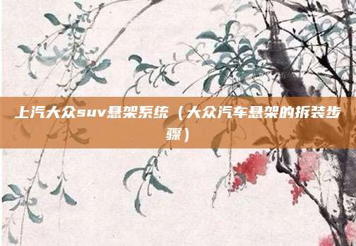 上汽大众suv悬架系统(大众汽车悬架的拆装步骤)