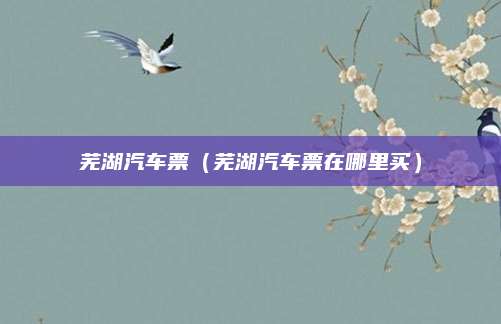 芜湖汽车票(芜湖汽车票在哪里买)