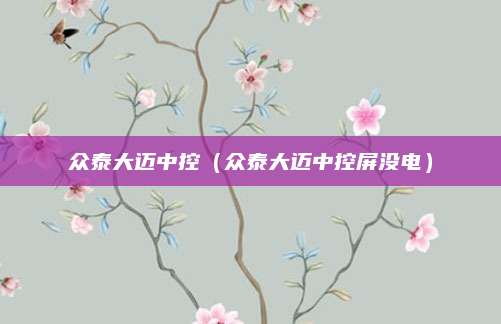 众泰大迈中控(众泰大迈中控屏没电)