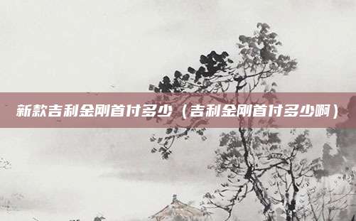 新款吉利金刚首付多少(吉利金刚首付多少啊)