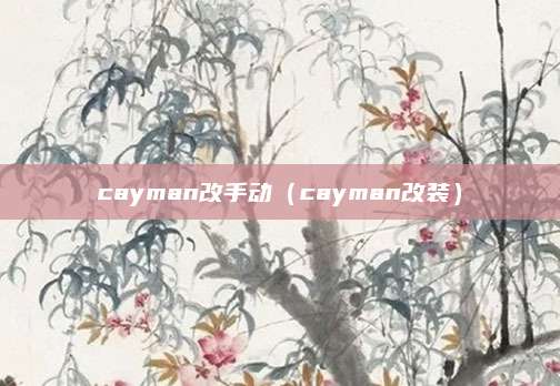 cayman改手动(cayman改装)
