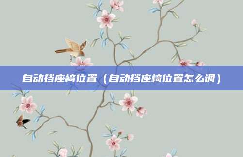 自动挡座椅位置(自动挡座椅位置怎么调)