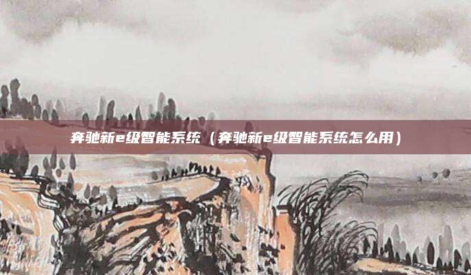 奔驰新e级智能系统(奔驰新e级智能系统怎么用)