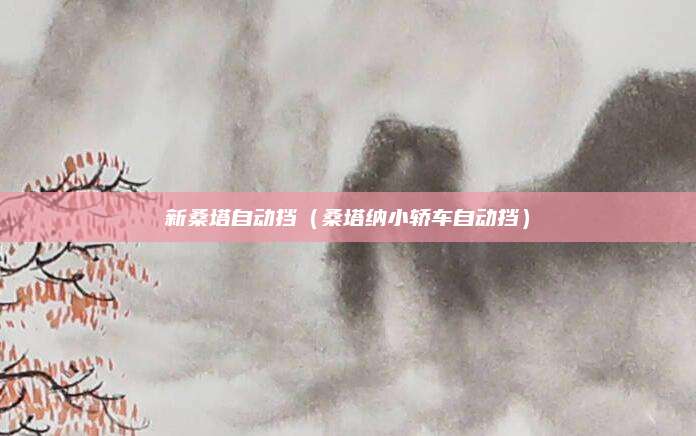 新桑塔自动挡（桑塔纳小轿车自动挡）