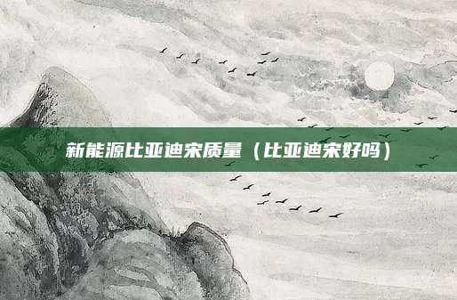 新能源比亚迪宋质量(比亚迪宋好吗)