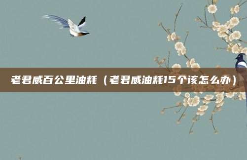 老君威百公里油耗(老君威油耗15个该怎么办)