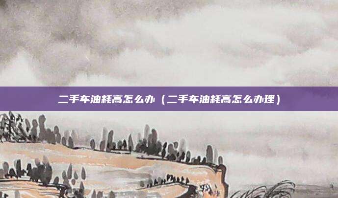 二手车油耗高怎么办(二手车油耗高怎么办理)