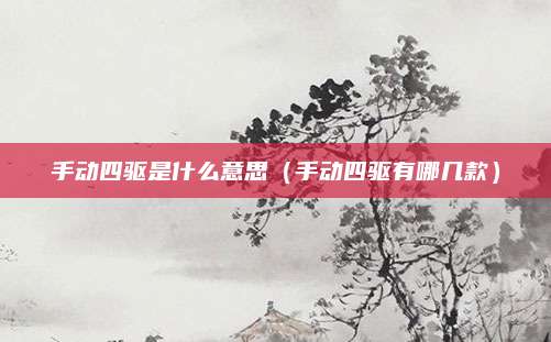 手动四驱是什么意思(手动四驱有哪几款)