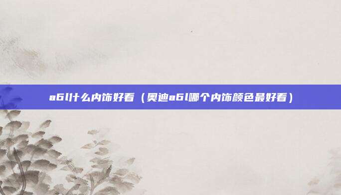 a6l什么内饰好看(奥迪a6l哪个内饰颜色最好看)