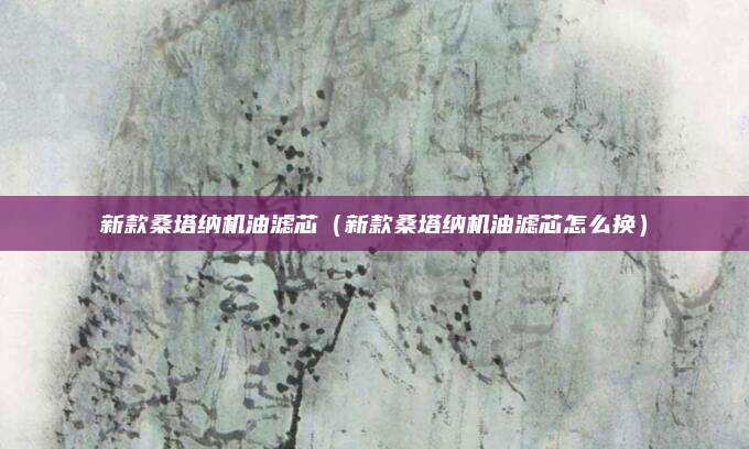 新款桑塔纳机油滤芯(新款桑塔纳机油滤芯怎么换)