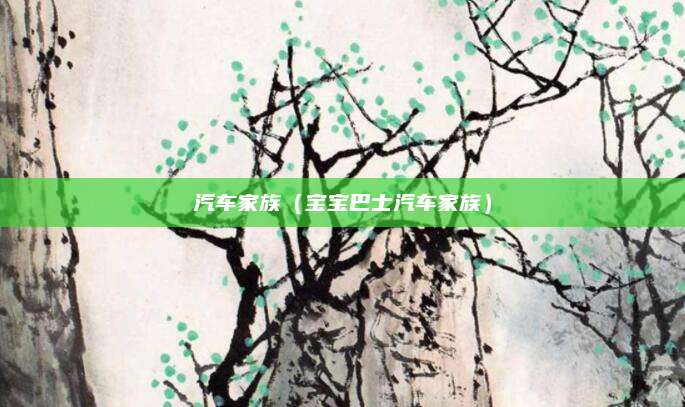 汽车家族(宝宝巴士汽车家族)