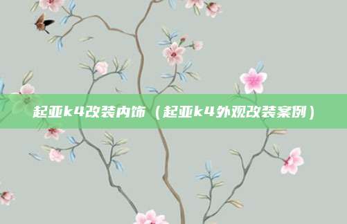 起亚k4改装内饰(起亚k4外观改装案例)
