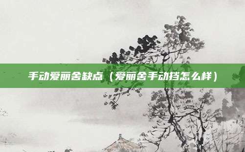 手动爱丽舍缺点(爱丽舍手动挡怎么样)