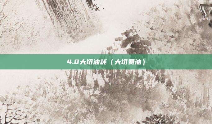 4.0大切油耗(大切费油)