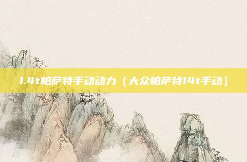1.4t帕萨特手动动力(大众帕萨特14t手动)