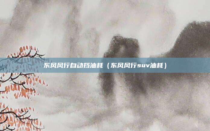 东风风行自动挡油耗(东风风行suv油耗)