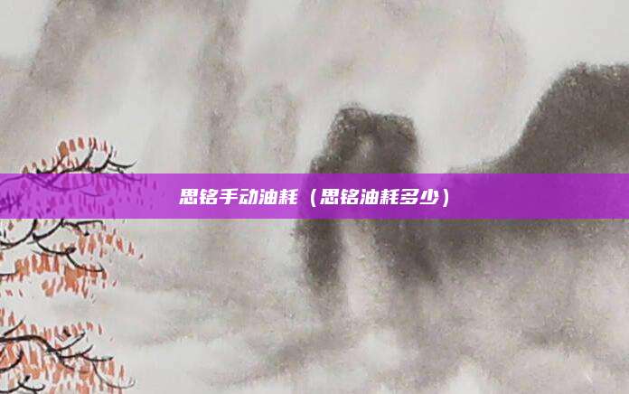 思铭手动油耗(思铭油耗多少)