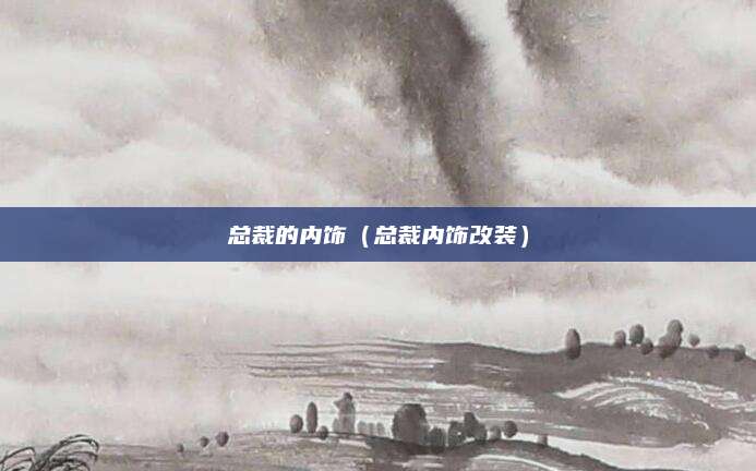 总裁的内饰(总裁内饰改装)