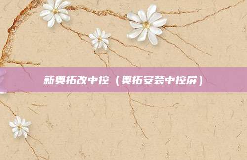 新奥拓改中控(奥拓安装中控屏)