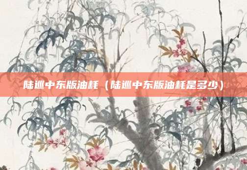 陆巡中东版油耗(陆巡中东版油耗是多少)