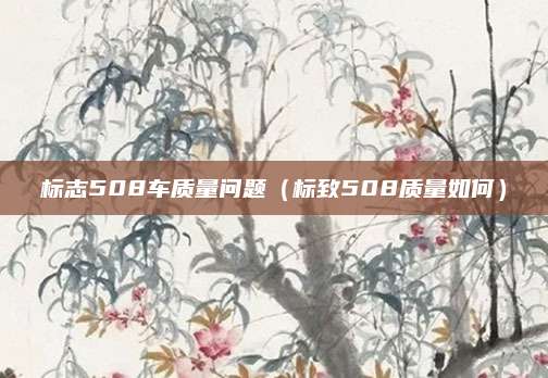 标志508车质量问题(标致508质量如何)